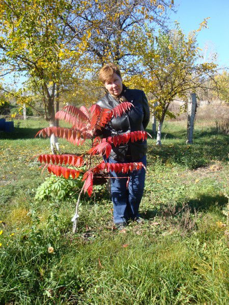 Светлана Дробяга