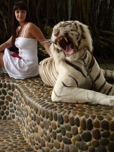 Таня Николаева