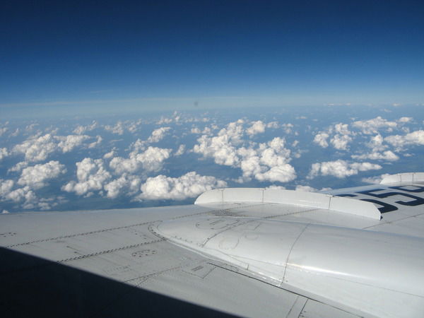 Таша Алехина