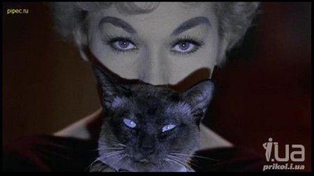 Неизвестно Неизвестно