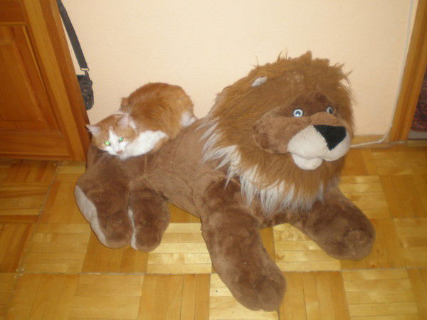 Леонид Паркачев