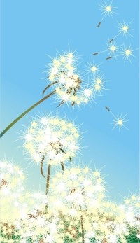 Владимир Усков