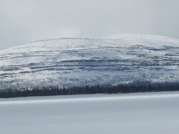 Валентин & Елена Устинов