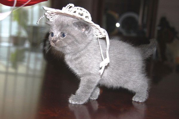 Бахыт Даргалиева