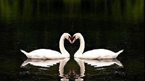 Анна Луговая