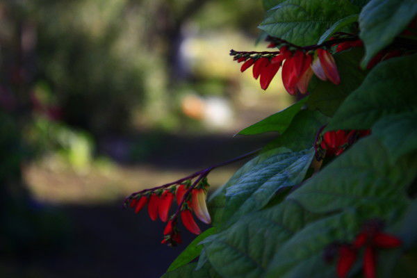 Дарья Лобова