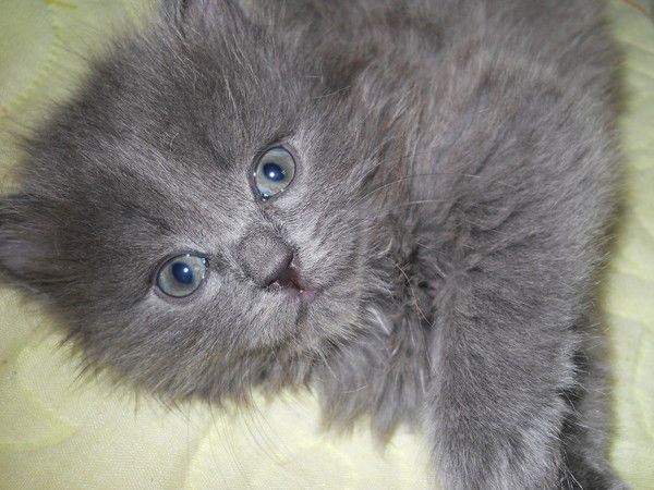 Ольга Иванова