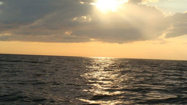 Виктория Лебедева