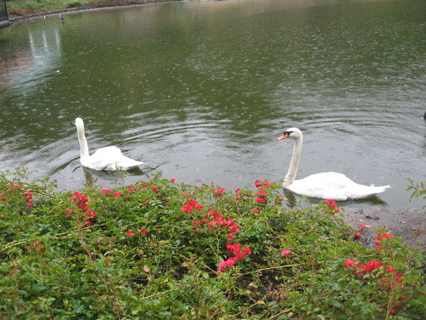 Виктория Гаврисенко