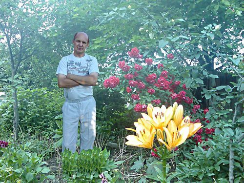 Александр Добролежин