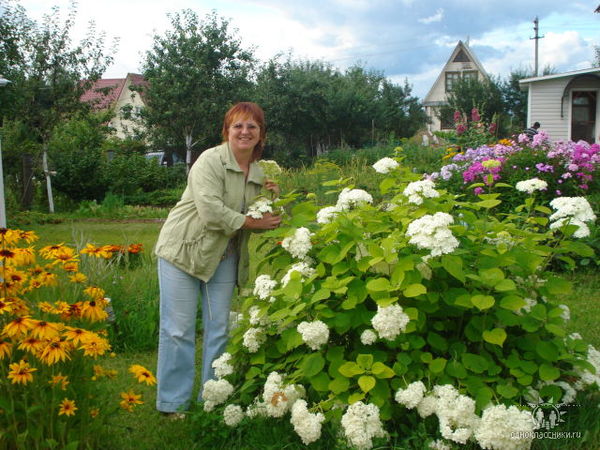 Наталья Холодова