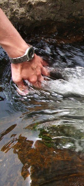 Сергей Посягин