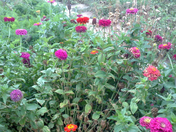 Нургул Макжанова