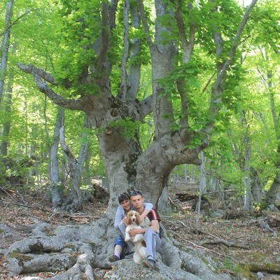 Владимир Гончаренко