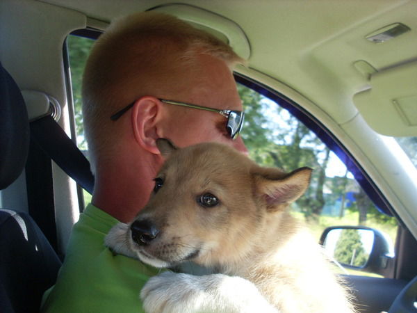 Андрей Фарафонов