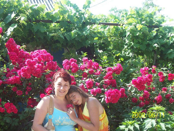 Надежда Погорелова