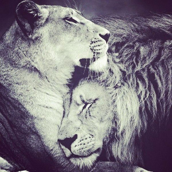 Ирина Онопченко