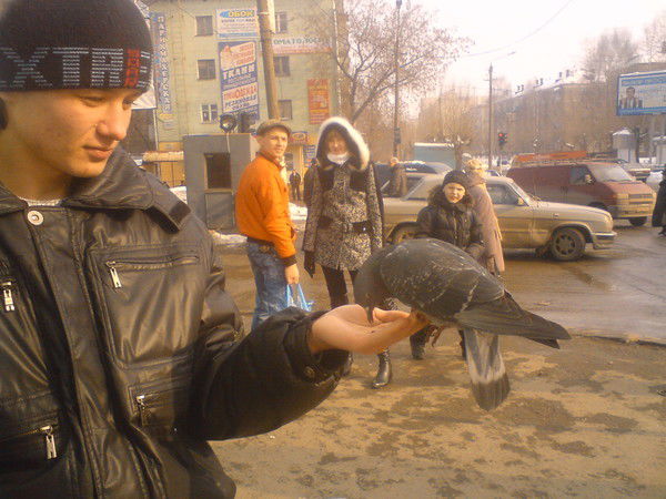 Андрей Попов