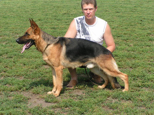 Игорь Марукян