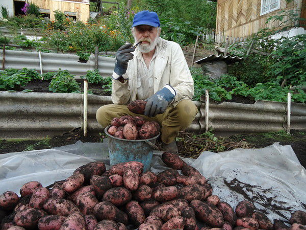 Михаил Пузаков
