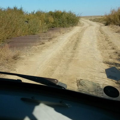 Володя Корнев