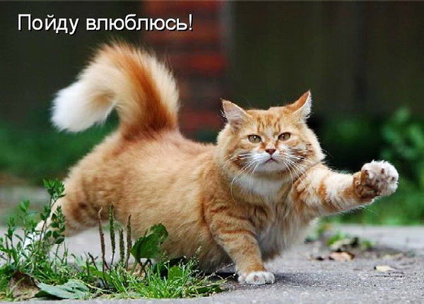 Viktor Miroshnijenko