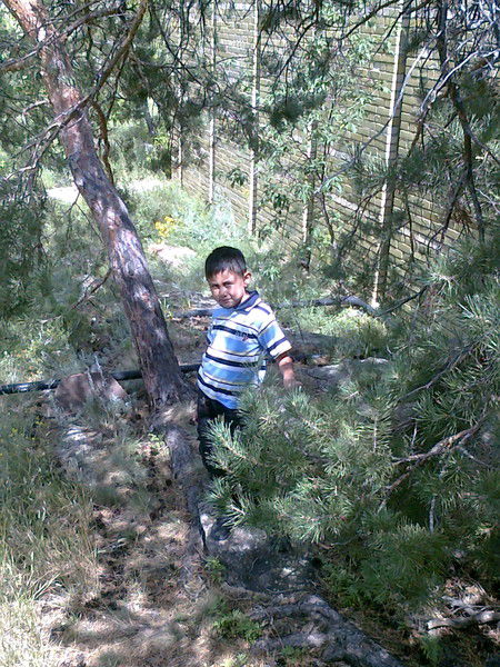 Салим Жахин