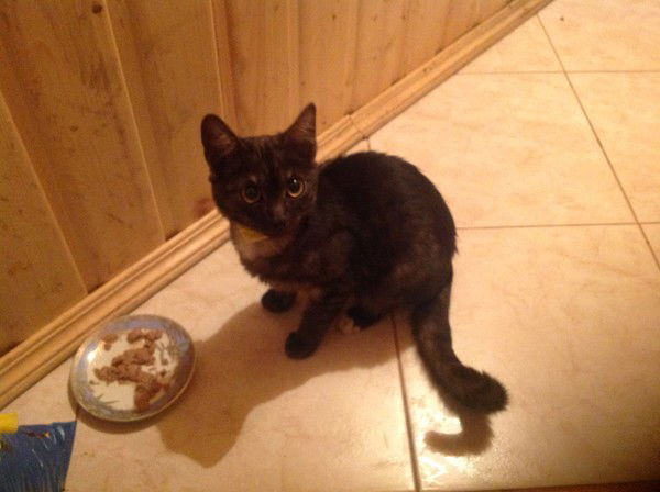 Айрат Шамсутдинов