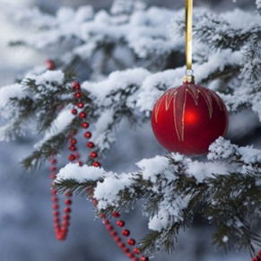 Гулжазира Ибрагимова