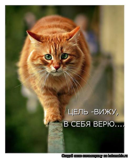 Андрей Никулин