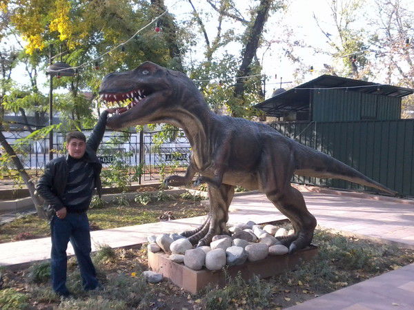 Альберт Кокош