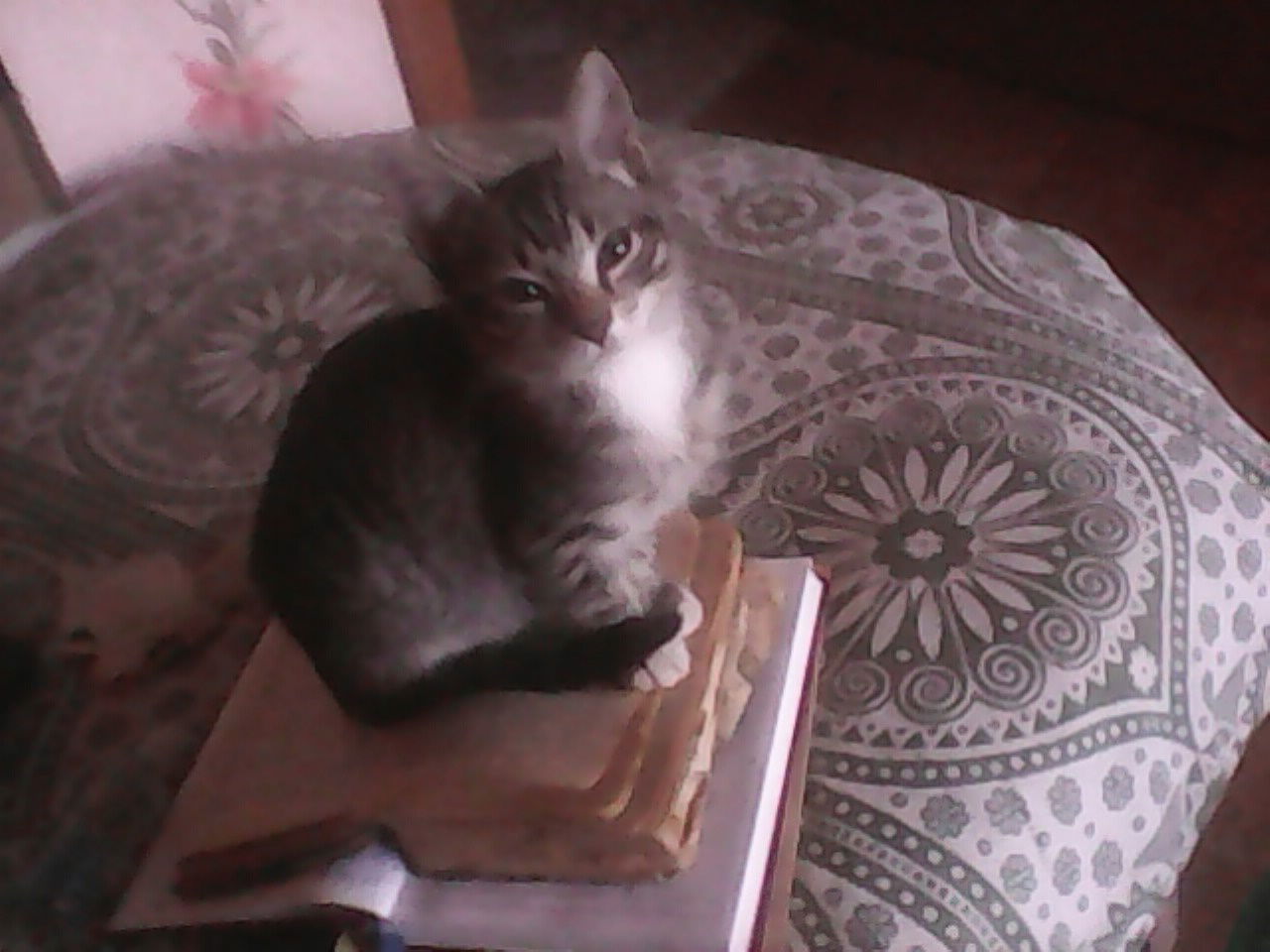 Андрей Близнюк