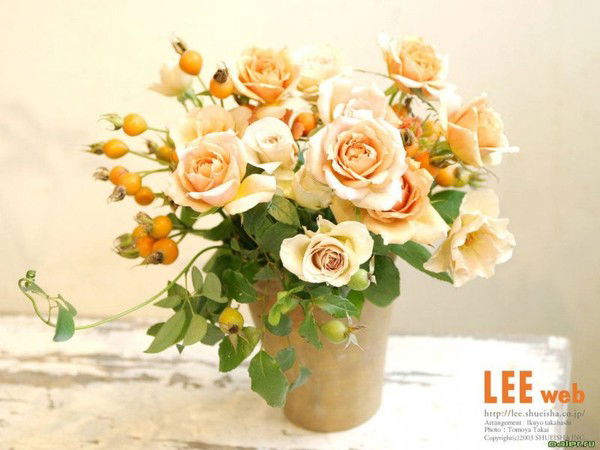 Светлана Пряхина