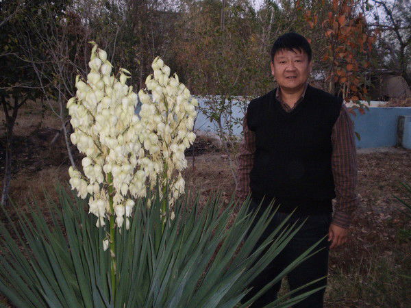 Альберт Ким