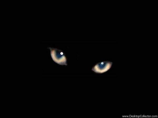 Юлия Круглова