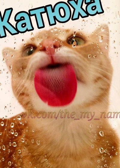 Екатерина Якунина