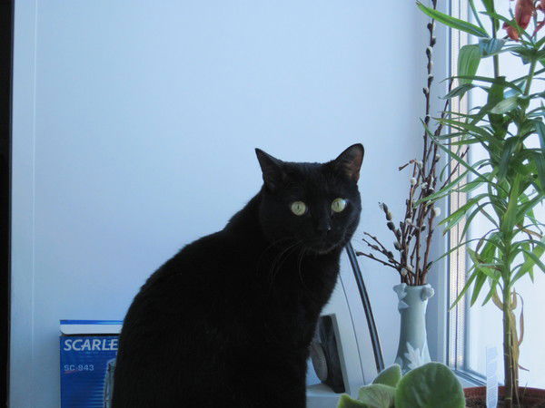 Наташа Бегишева