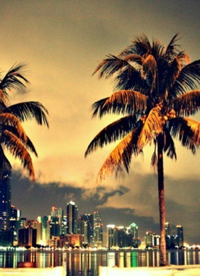 Никита Москва