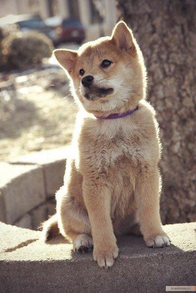 Машokя)_*) ***)))