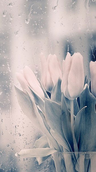 Маря Подольская