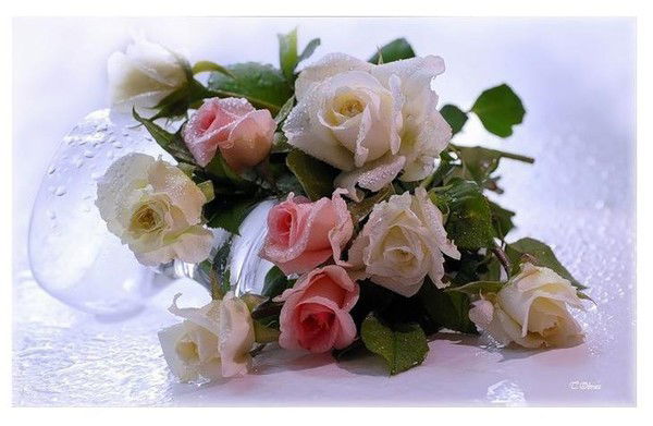 Анар Жакупова