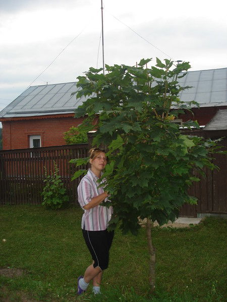 Наталья Матвиенко