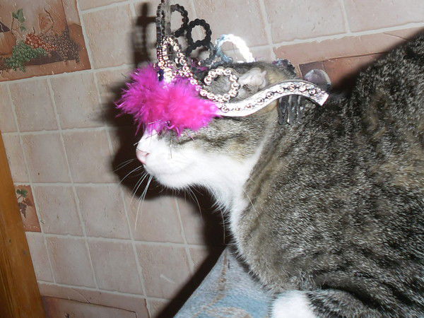 Анютик Зайка