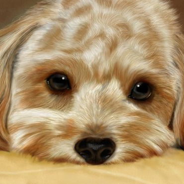 Таня Догонова