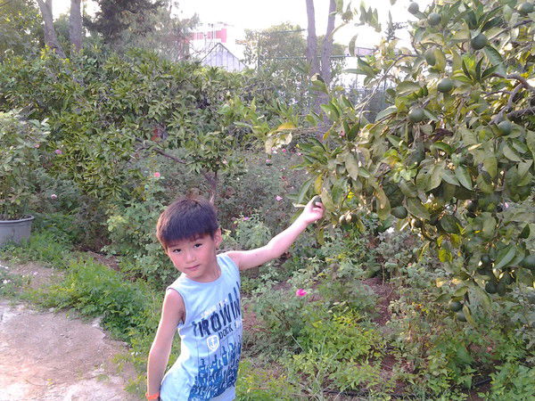 Арлан Тулегенов