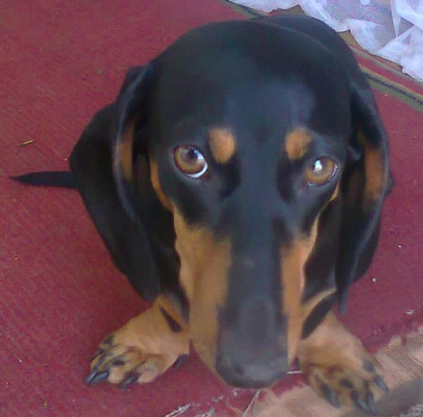 Сергей Кудряшов