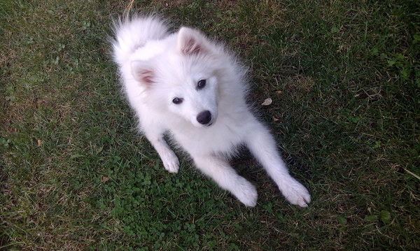 Айсана Бегалы