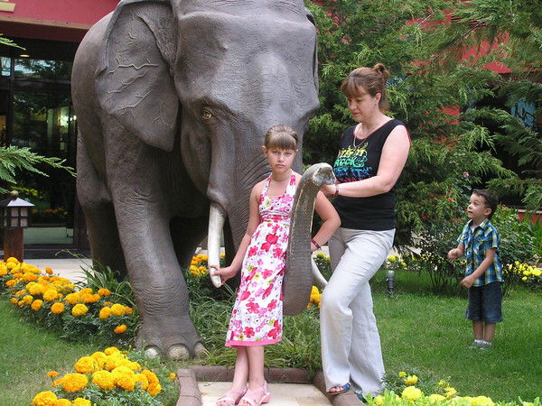 Елена Тимонович