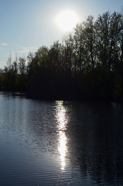 Таня Кутенко