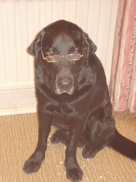 Юрий Свищев